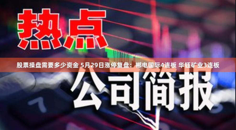 股票操盘需要多少资金 5月29日涨停复盘:郴电国际4连板 华钰矿业3连板