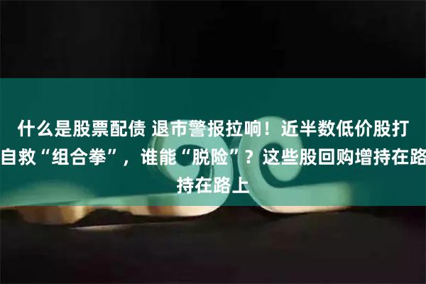 什么是股票配债 退市警报拉响!近半数低价股打出自救“组合拳”,谁能“脱险”?这些股回购增持在路上