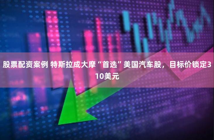股票配资案例 特斯拉成大摩“首选”美国汽车股,目标价锁定310美元