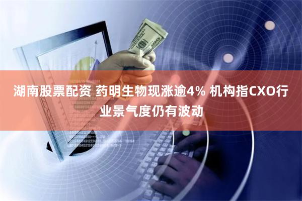 湖南股票配资 药明生物现涨逾4% 机构指CXO行业景气度仍有波动