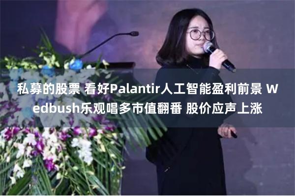私募的股票 看好Palantir人工智能盈利前景 Wedbush乐观唱多市值翻番 股价应声上涨