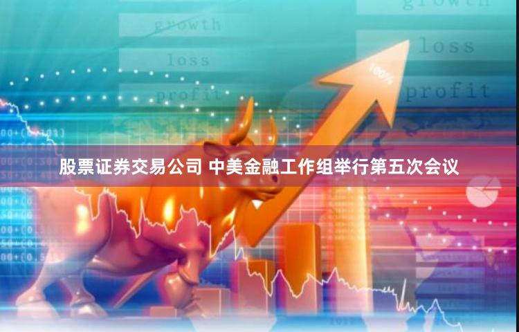 股票证券交易公司 中美金融工作组举行第五次会议