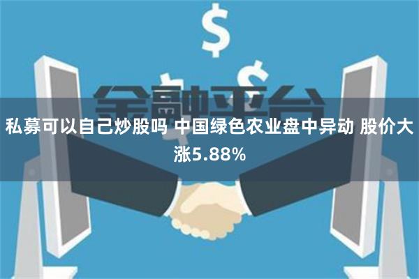 私募可以自己炒股吗 中国绿色农业盘中异动 股价大涨5.88%