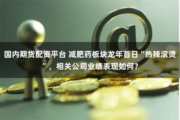 国内期货配资平台 减肥药板块龙年首日“热辣滚烫”,相关公司业绩表现如何?