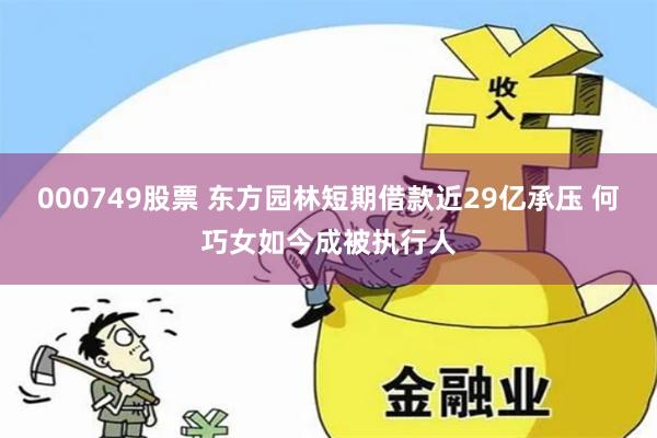 000749股票 东方园林短期借款近29亿承压 何巧女如今成被执行人